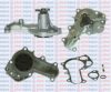 AQUAPLUS 85-6845 Water Pump